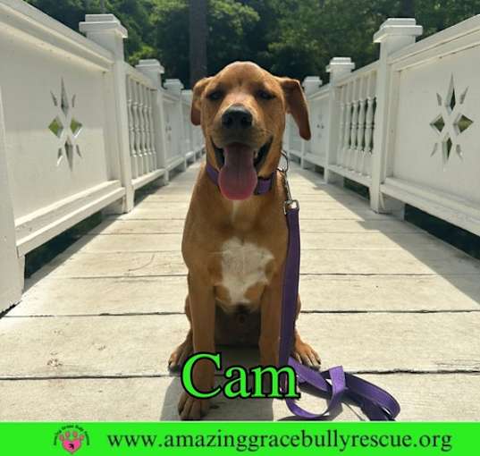 Photo of Cam