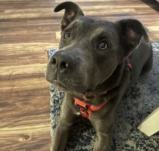 Photo of Denver