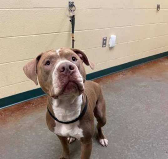 Photo of Clyde