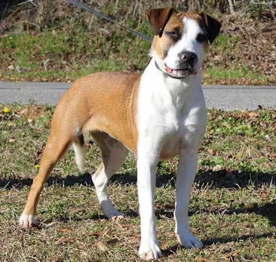 Photo of Addie 41020