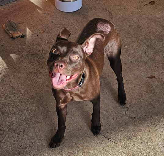 Photo of Riley