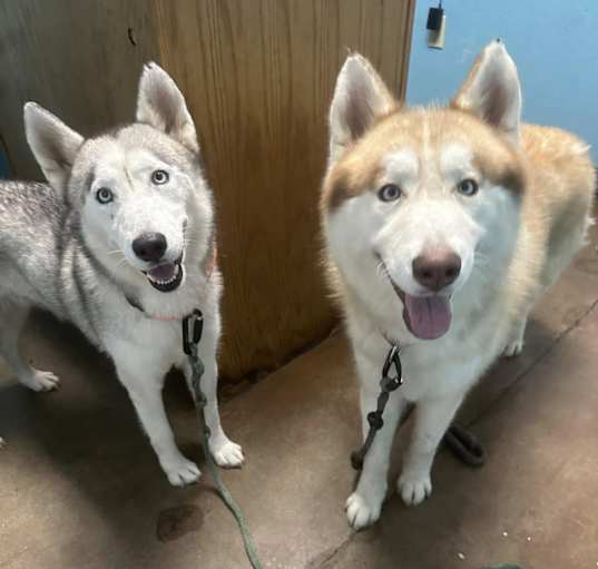 Photo of Tana & Depo