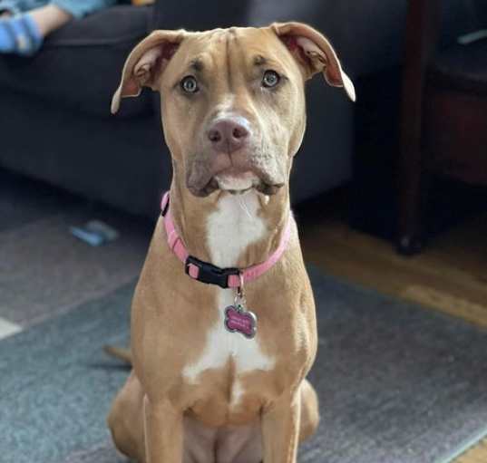 Photo of Ashland/ Nala