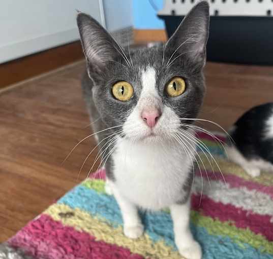 Photo of Hera