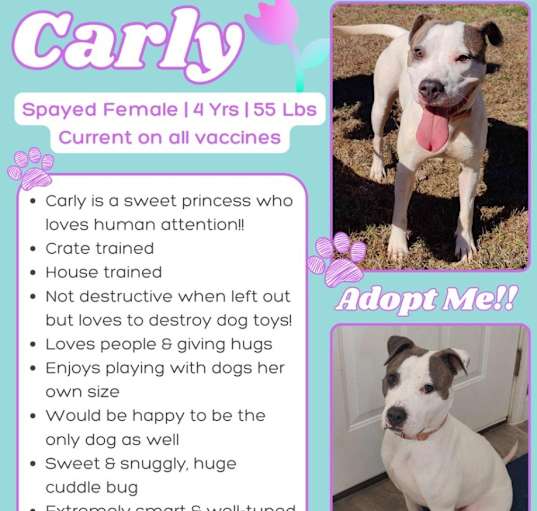 Photo of carly