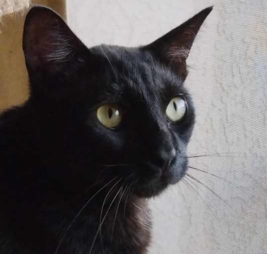 Photo of Riley