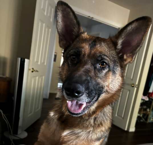 Photo of Charlie