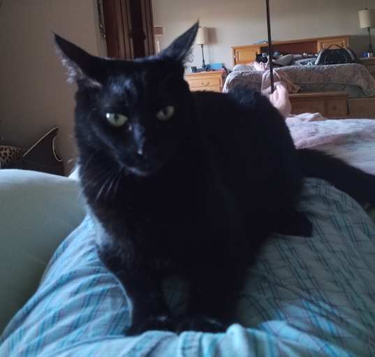 Photo of Squirt