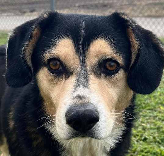 Photo of Kirby