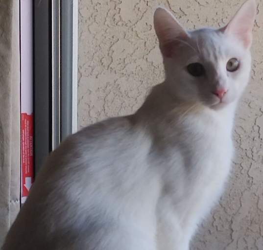 Photo of Junior
