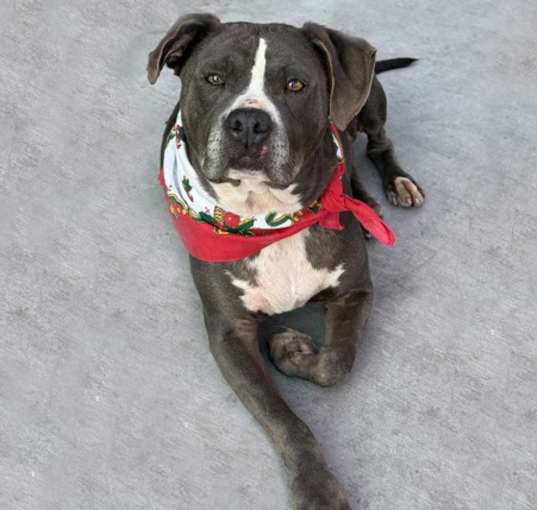 Photo of Coco