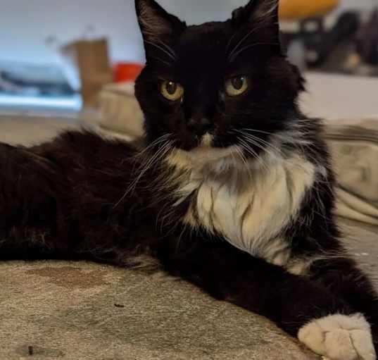 Photo of Sophie