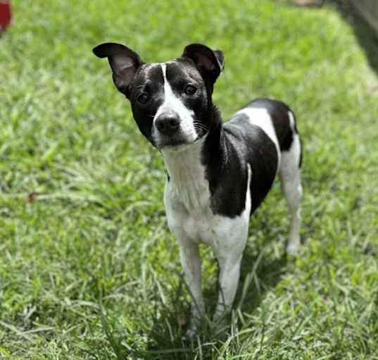 Photo of Cash