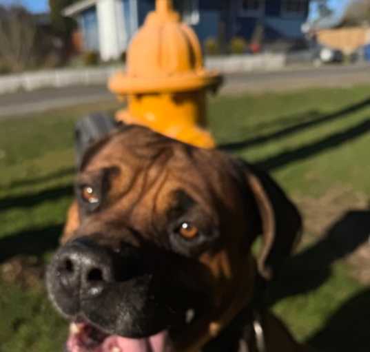 Photo of Tiny