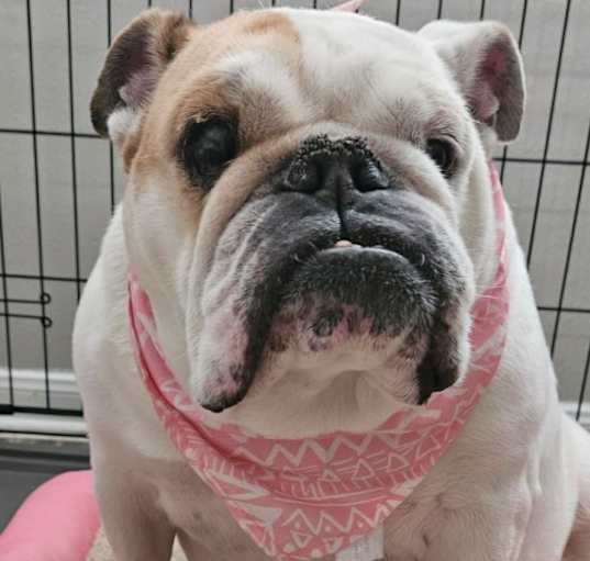 Photo of Maya