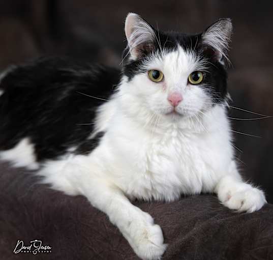 Photo of Norah