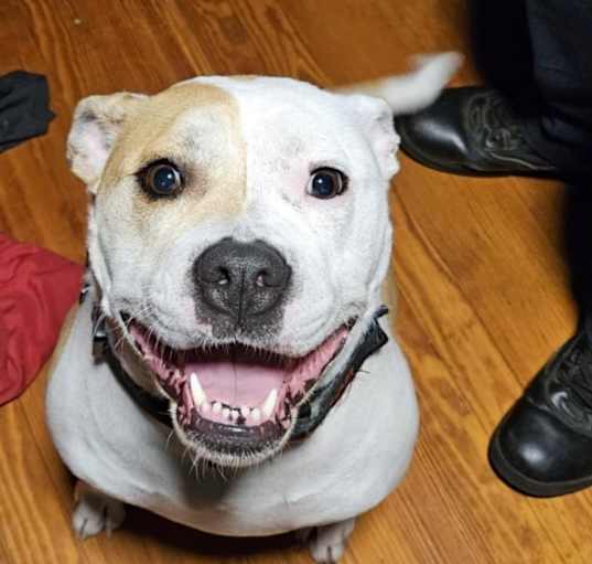 Photo of Chloe