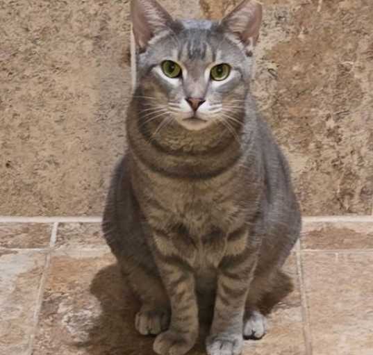 Photo of Leroy