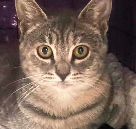 Photo of Susie