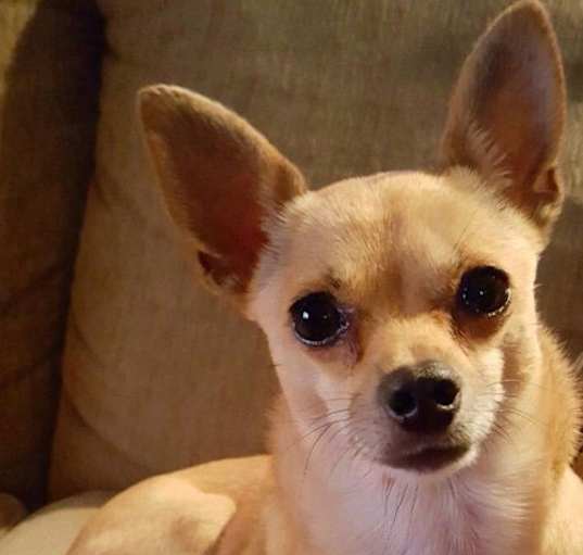 Photo of Pablo