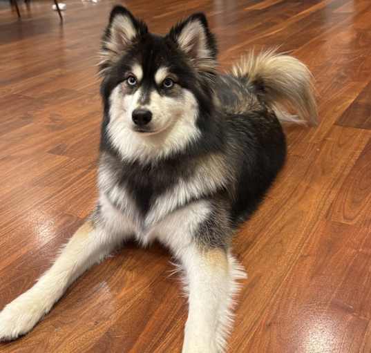 Photo of Wally