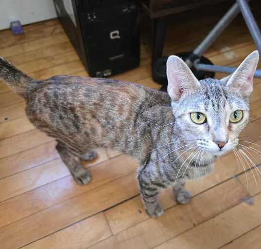 Photo of Fiona