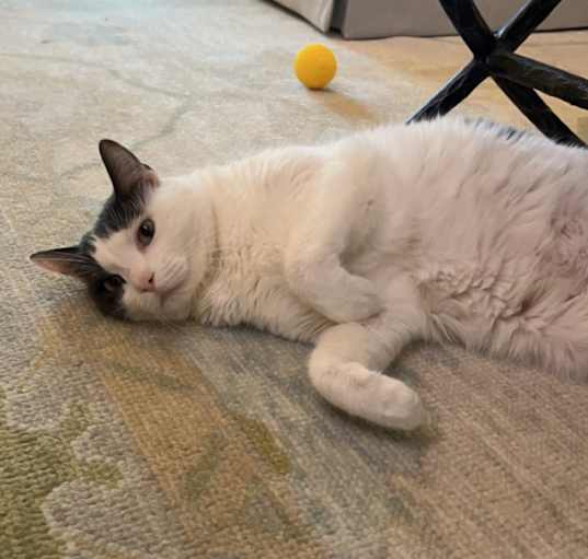 Photo of Emmie