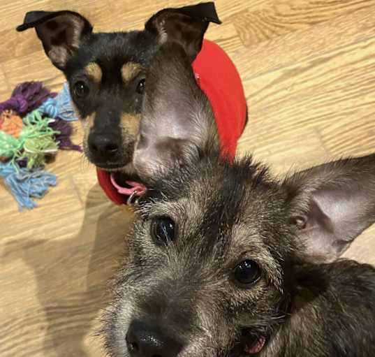 Photo of Winnie and WIla