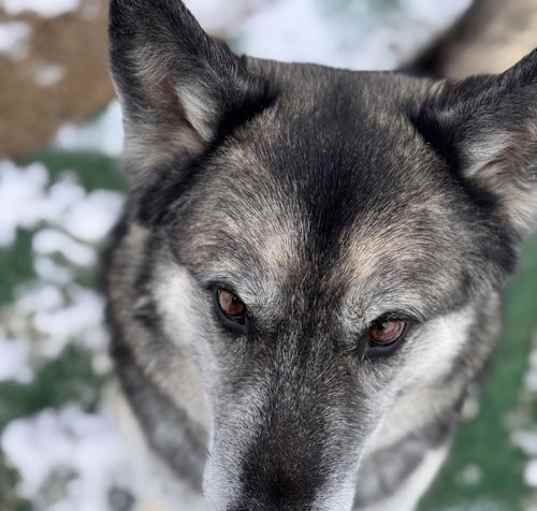 Photo of Gunther