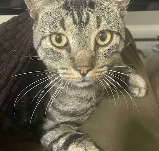 Photo of Charlie