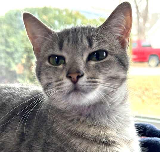 Photo of Maizie Mae