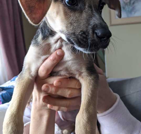 Photo of Cassie