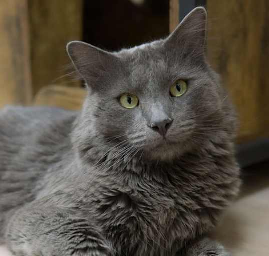 Photo of BB Salguero