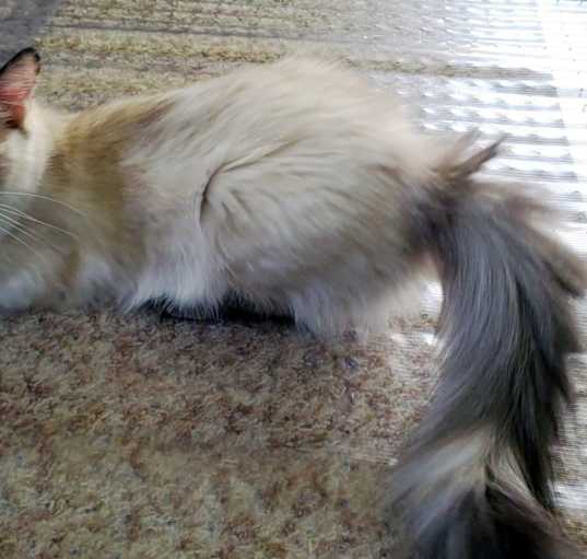 Photo of Gwendolyn