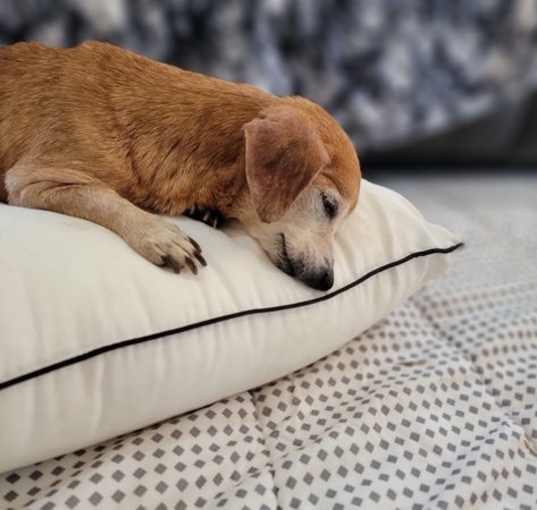 Photo of Greta