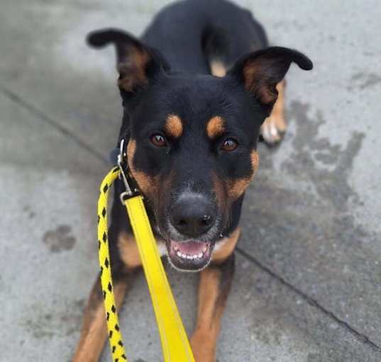 Photo of AC - Cleo