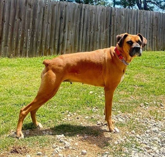 Photo of Heidi