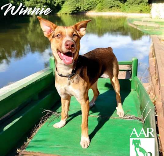 Photo of Winnie
