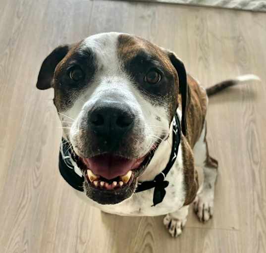 Photo of Hunter