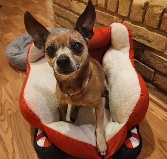 Photo of 24-088 Calvin