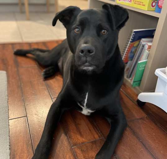 Photo of Jax