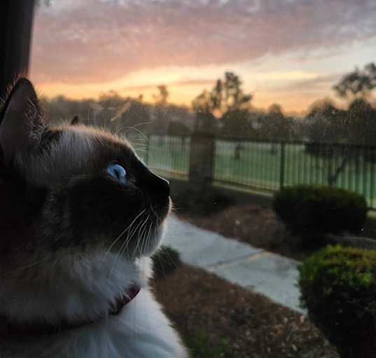 Photo of Chloe