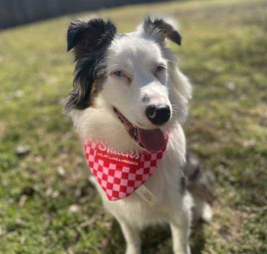 Photo of Astrid