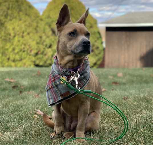 Photo of Gretel