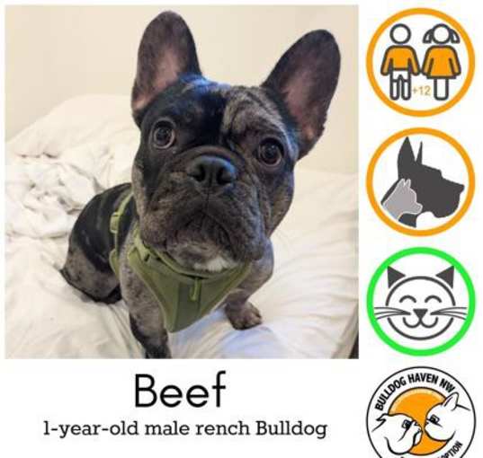 Photo of Beef - pending