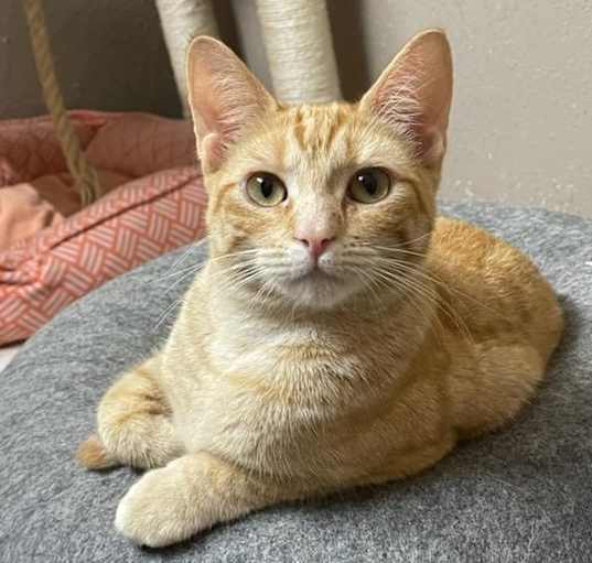Photo of Jelly