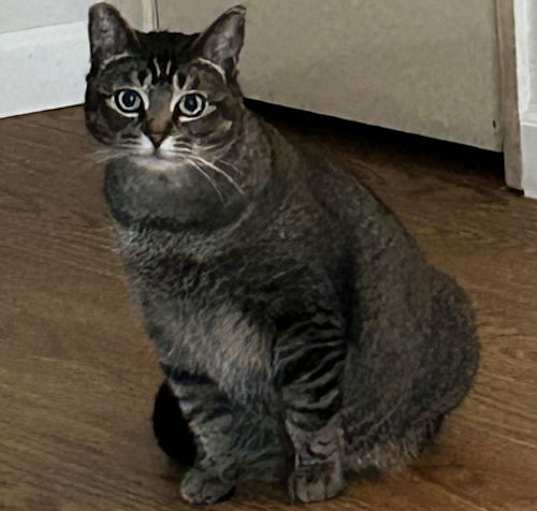 Photo of Angel (courtesy)