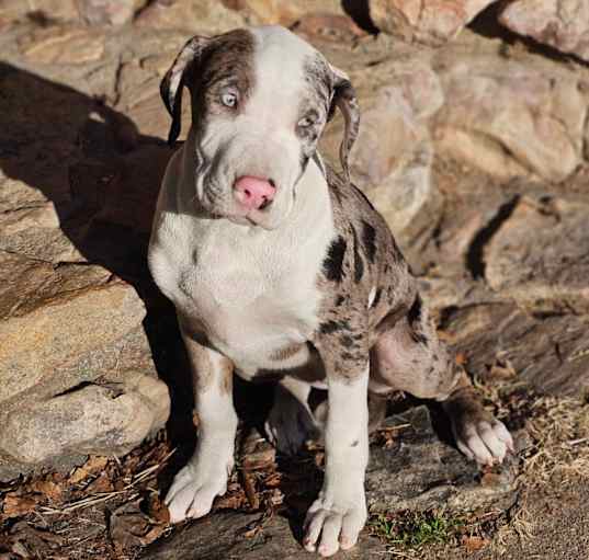 Photo of Azure