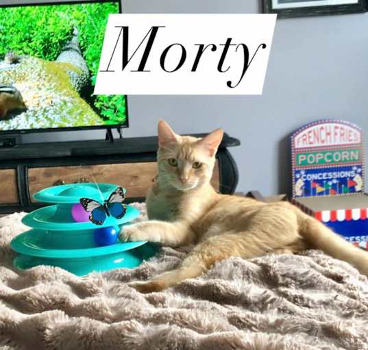 Photo of Morty
