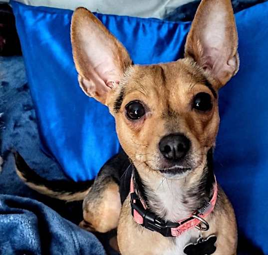 Photo of Sally